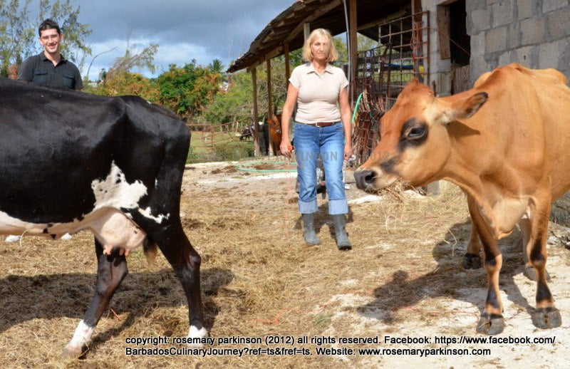 483291 10151386205386420 937487666 n