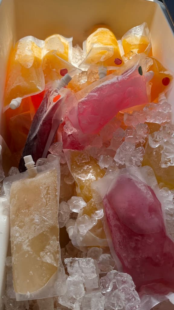 The alcoholic pouches are designed for cruises, karaoke nights, or going to the beach,rally etc. They sell for $10 for one and you can also by a mixed case in bulk at a discounted price.